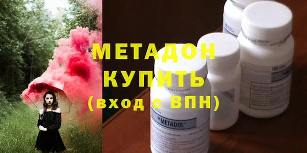 гидра Каменка