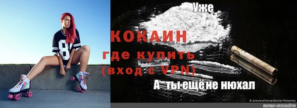 гидра Каменка