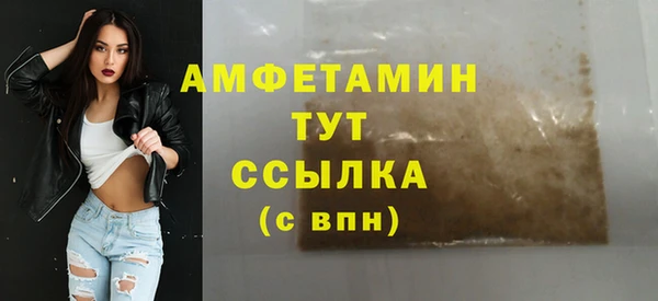 гидра Каменка