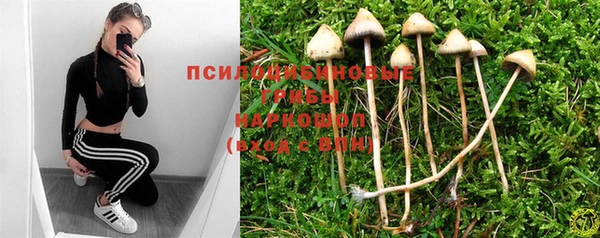 молекула духа Каменск-Шахтинский
