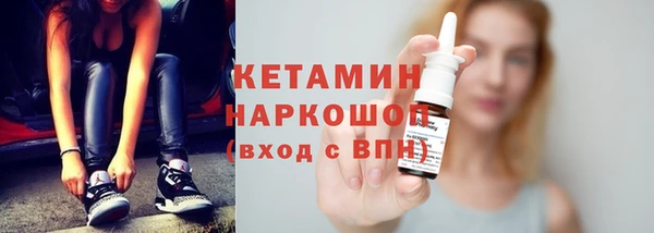 гидра Каменка