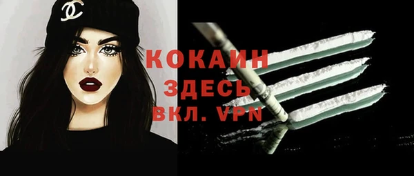 гидра Каменка