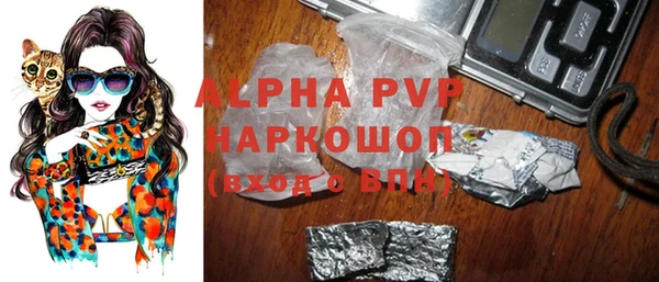 гидра Каменка