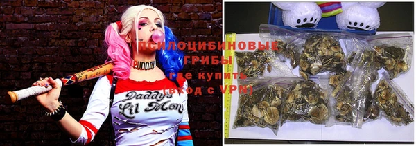 гидра Каменка