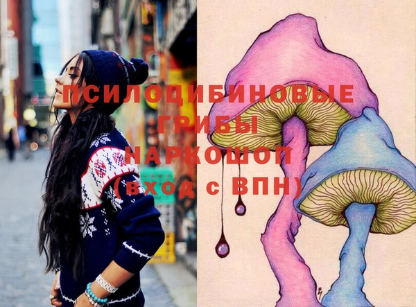 гидра Каменка