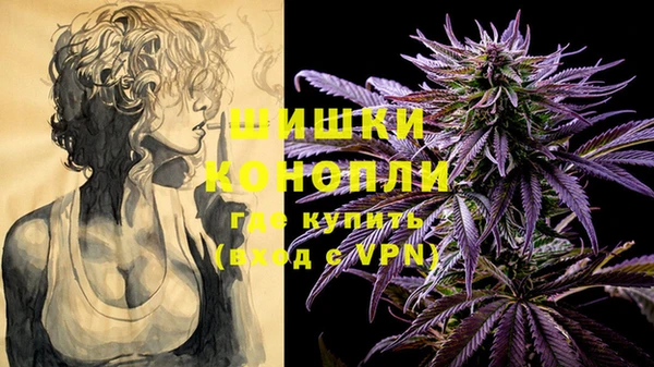 молекула духа Каменск-Шахтинский