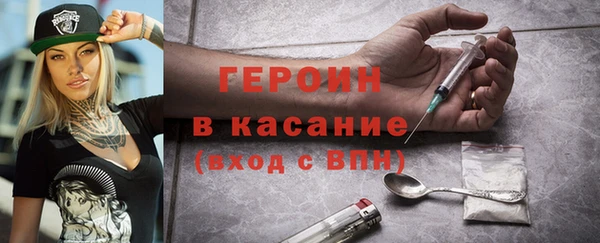 гидра Каменка