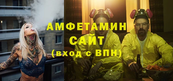 гидра Каменка