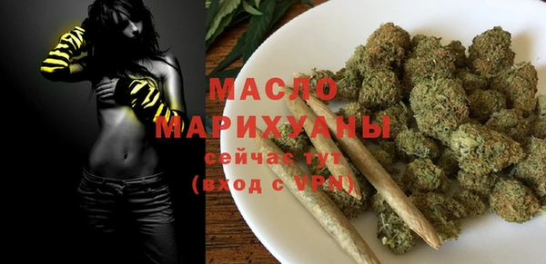 гидра Каменка