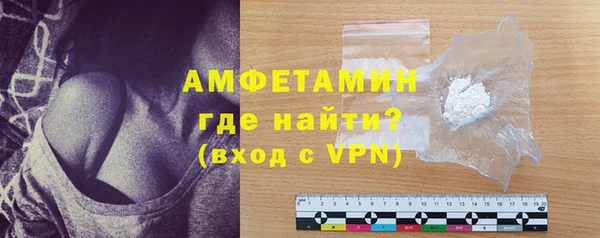 гидра Каменка