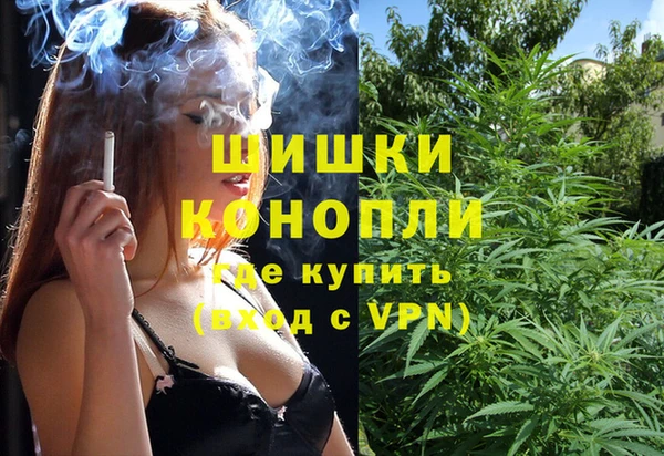 молекула духа Каменск-Шахтинский