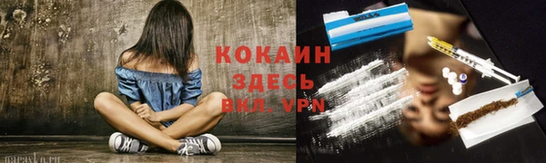 молекула духа Каменск-Шахтинский