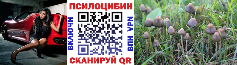 Псилоцибиновые грибы Magic Shrooms  Купить  Дрезна 