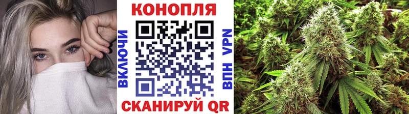Марихуана Bruce Banner  Купить закладки  Дрезна 